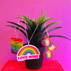 Désodorisant "LOVE WINS" LGBTQ+
