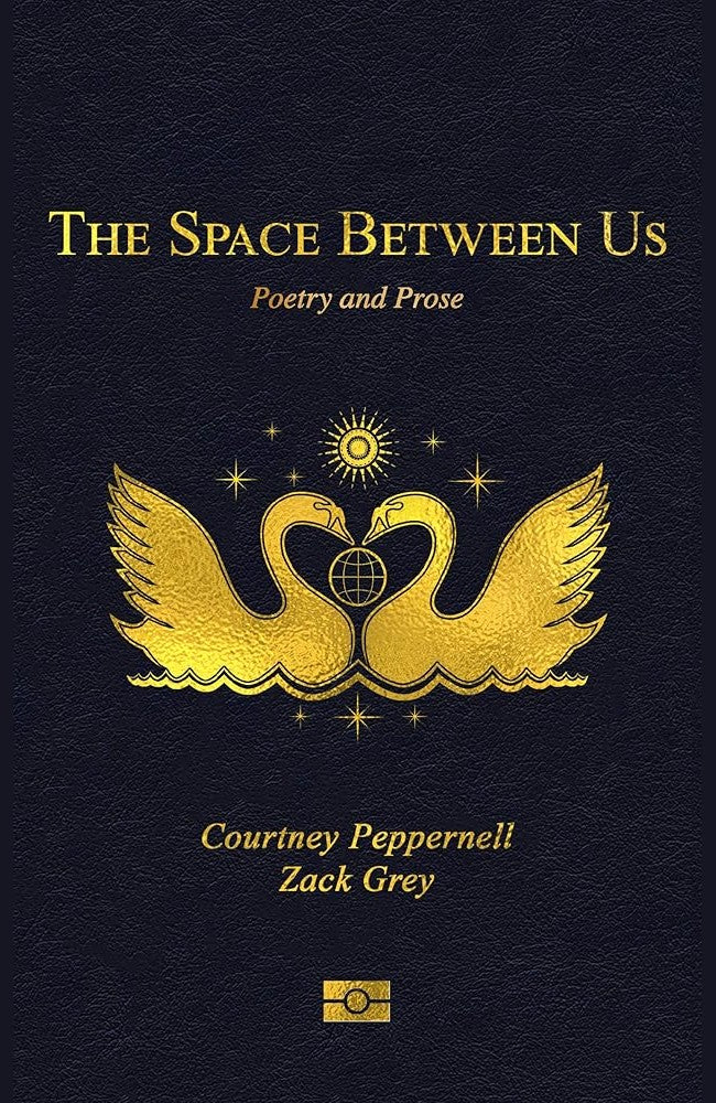 The Space Between Us: Poetry and Prose cover image